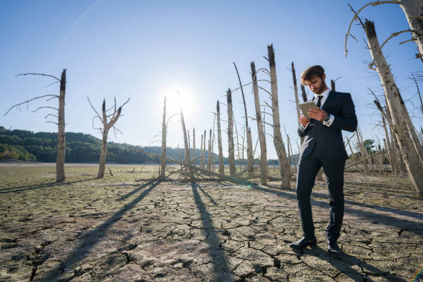 Инфобизнес без воды: как начать, даже если нет опыта .