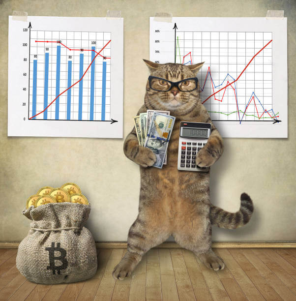 заработать на криптовалюте